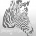 Zebra 56x65 cm
