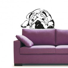 Bulldog 86x50 cm