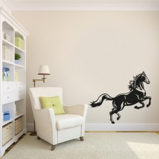 Cavallo 101x85 cm