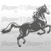 Cavallo 101x85 cm