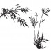 Bamboo coppia | 65x116 cm - 90x65 cm