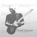 David Gilmour - Murale adesivo 50x50 cm