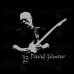 David Gilmour - Murale adesivo 50x50 cm