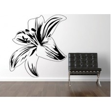Orchidea 60x68 cm