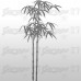 Bamboo 55x102 cm