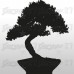 Bonsai 40x50cm