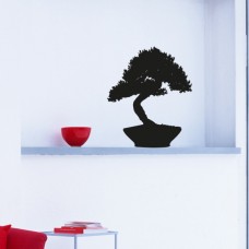 Bonsai 40x50cm