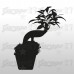 Bonsai 4- 40x50cm