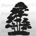 Bonsai 4- 40x50cm