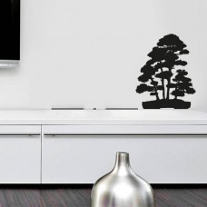 Bonsai 4- 40x50cm