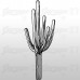 Cactus 55x143 cm