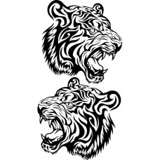 Tigre coppia - 32x60 cm